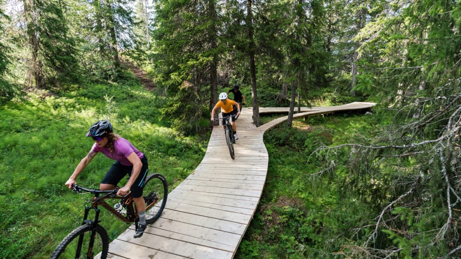 Gravel Coed Y Brenin Trail Map Coed Y Brenin Mtb Trail Map