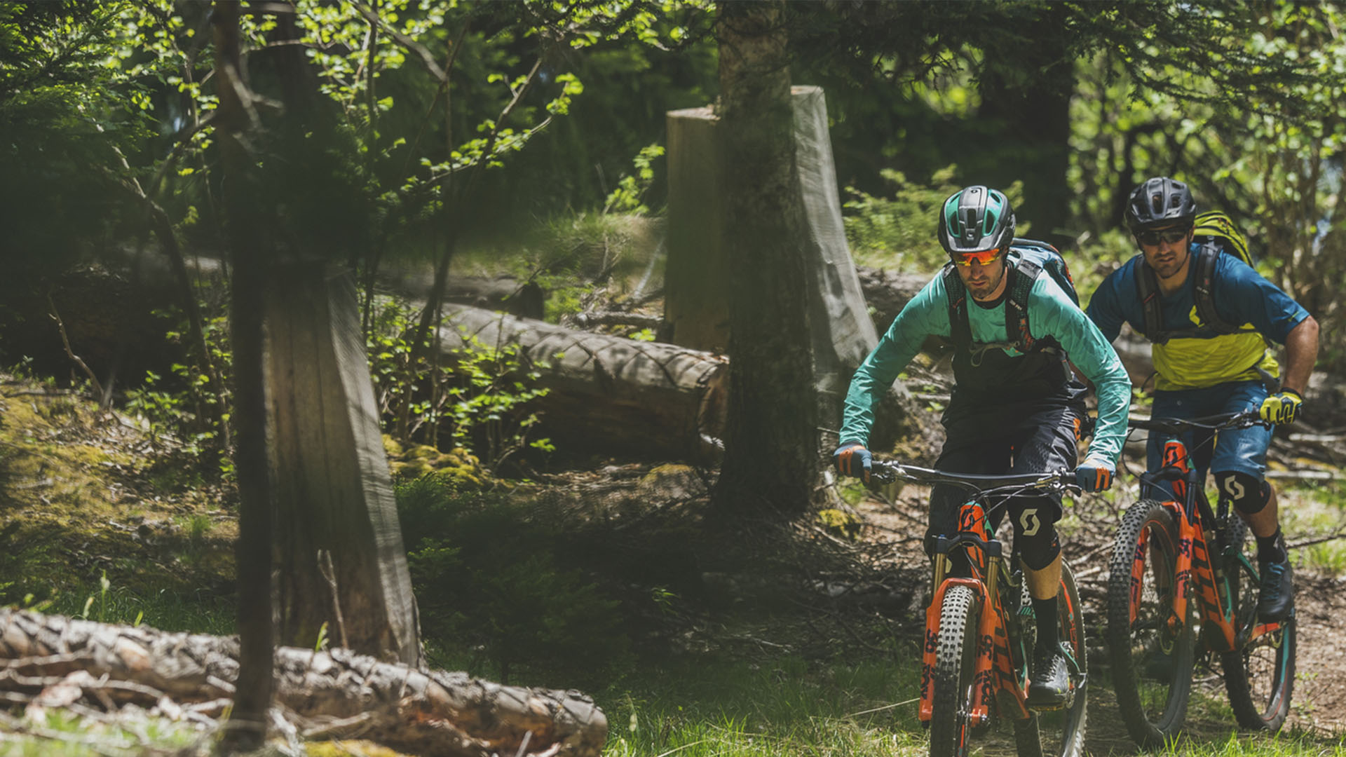 Två mountainbike-cyklister på en stig i skogen under sommaren