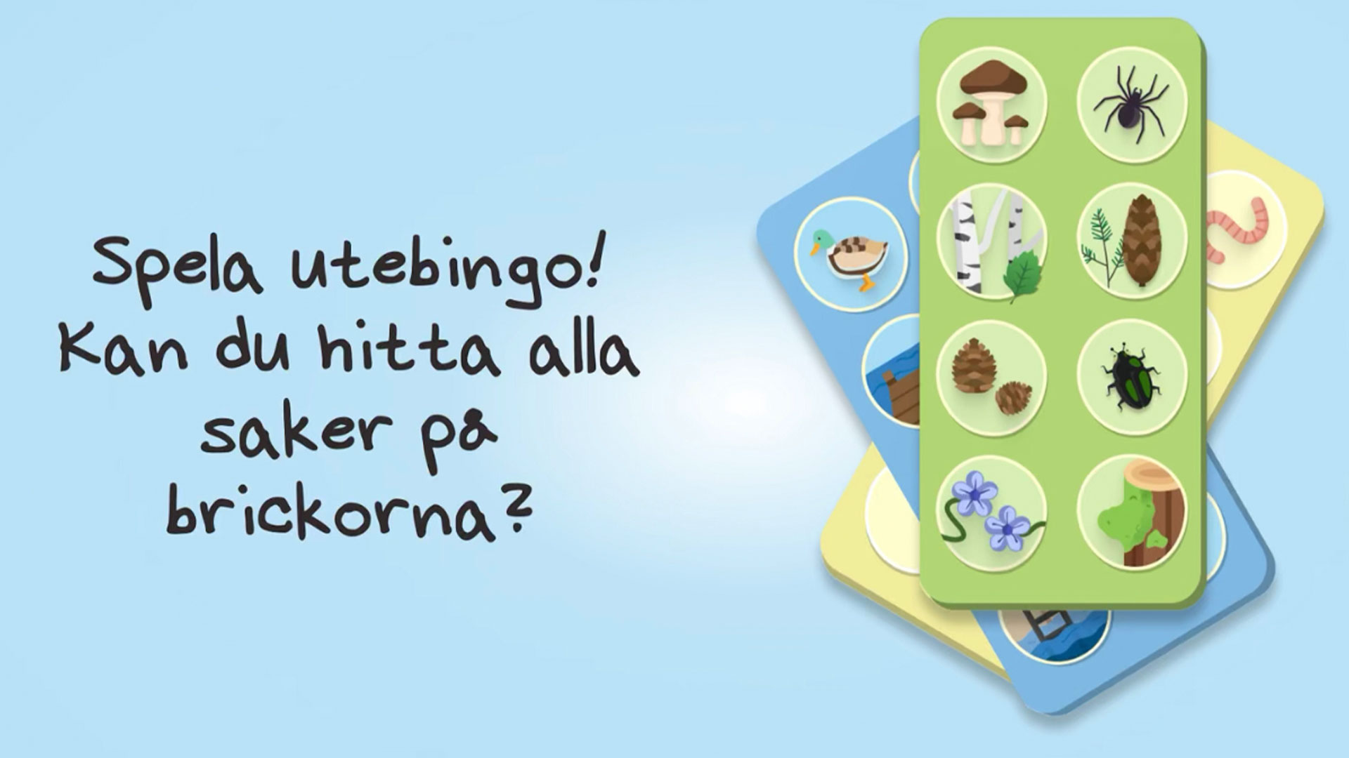 Spela utebingo med illustrationer av naturföremål på spelbrickor, inklusive svampar, spindel, fågel, björk, kotte och mask