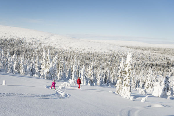 To mennesker på ski i snedækket skovlandskab under en klar blå himmel i Sälen, Finland