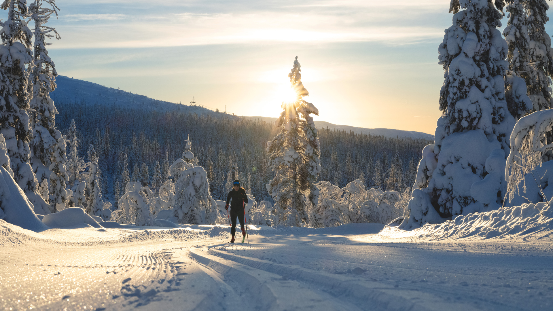Man åker längdskidor i snötäckt skog under soluppgång, vinterlandskap