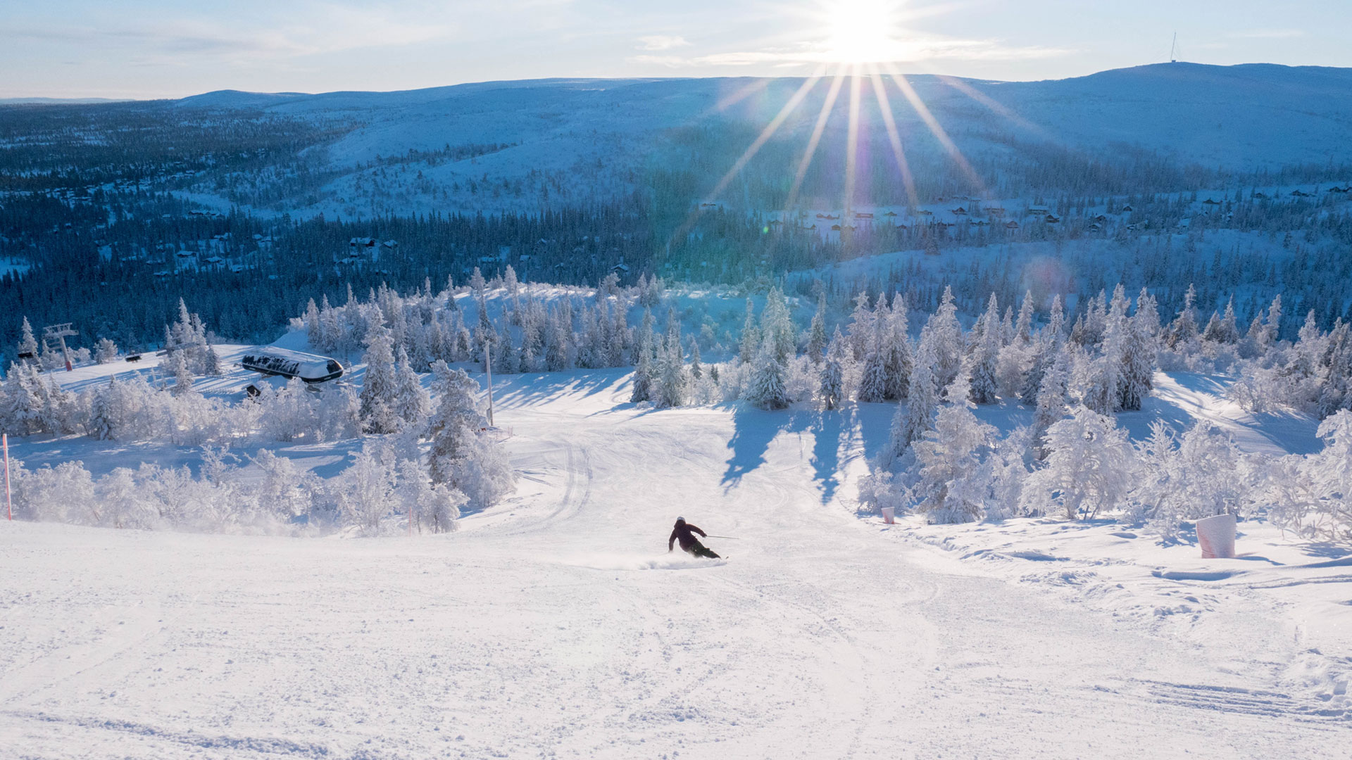 Skiers in a sunny winter landscape in the mountains, surrounded by snow-covered trees and mountains