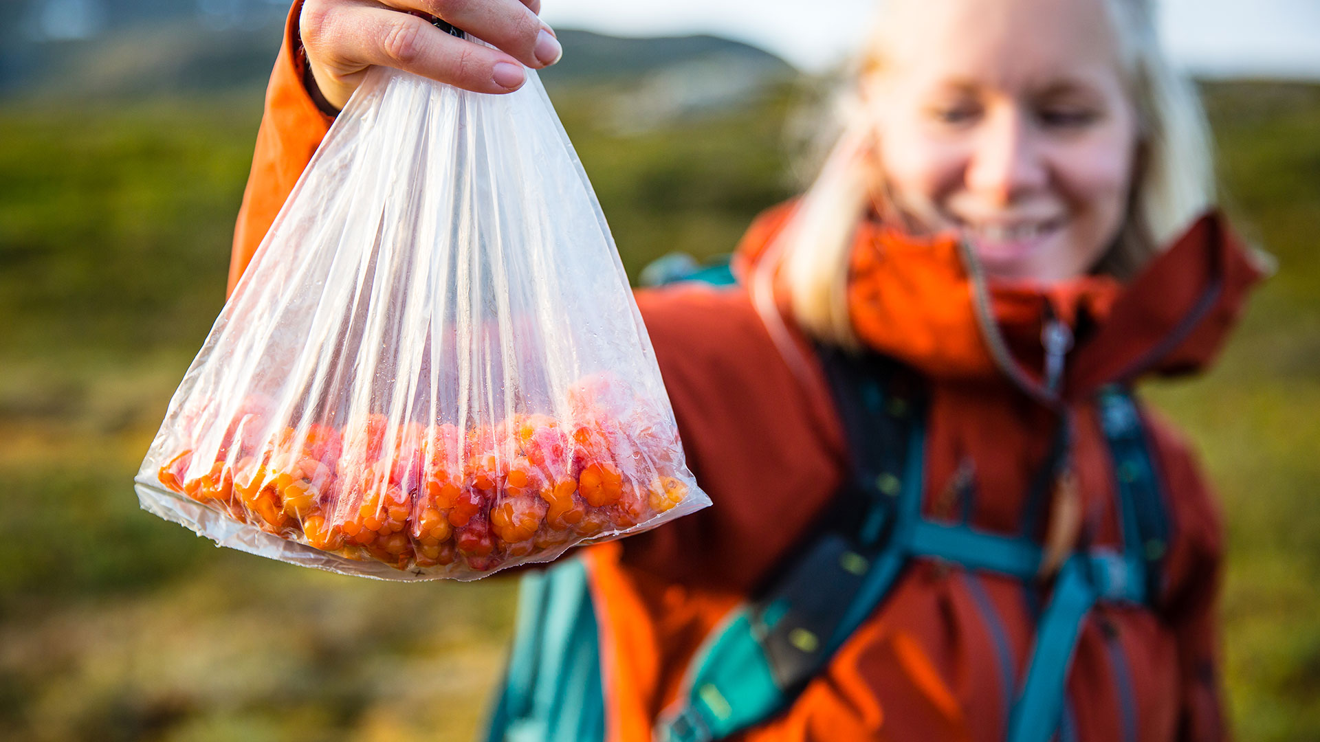 Kvinna med orange jacka håller en plastpåse med nyplockade hjortron i naturskön miljö