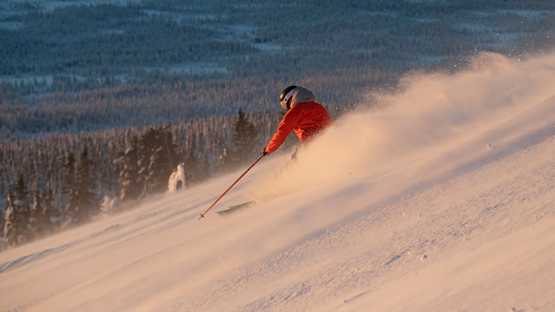 Skidåkare i röd jacka åker nedför en snötäckt fjällsluttning i solnedgången med skog i bakgrunden