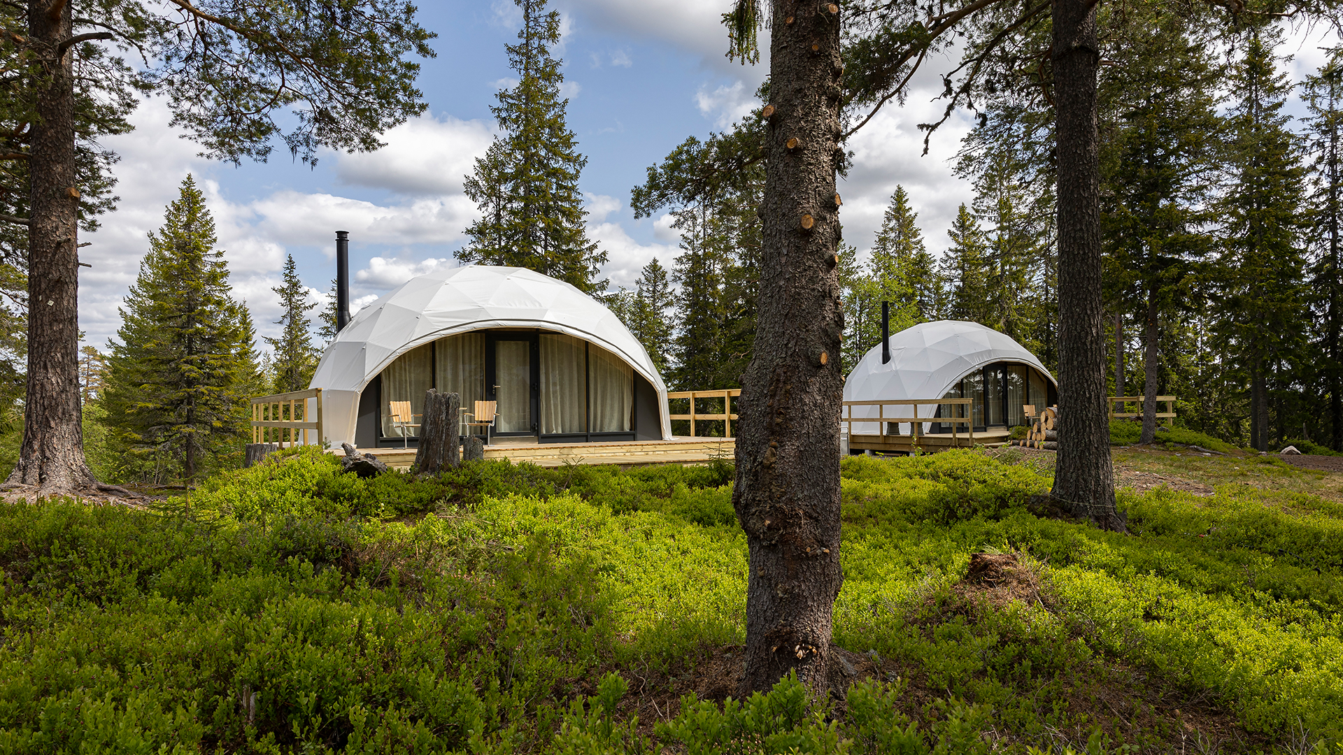 Kupolformade glamping-tält omgivna av träd och grönskande blåbärsris, belägna på en trätrall med utsikt över naturen