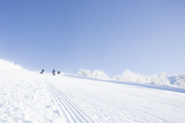 Tre skiløbere kører ned ad en sneklædt bakke under en klar blå himmel