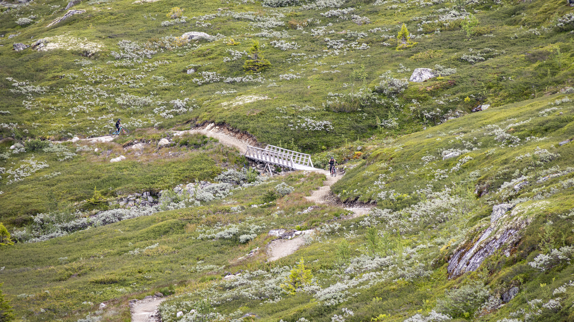 To venner som er på sykkelferie i Hemsedal. Dronebilde fra avstand når de sykler på stien Highline.