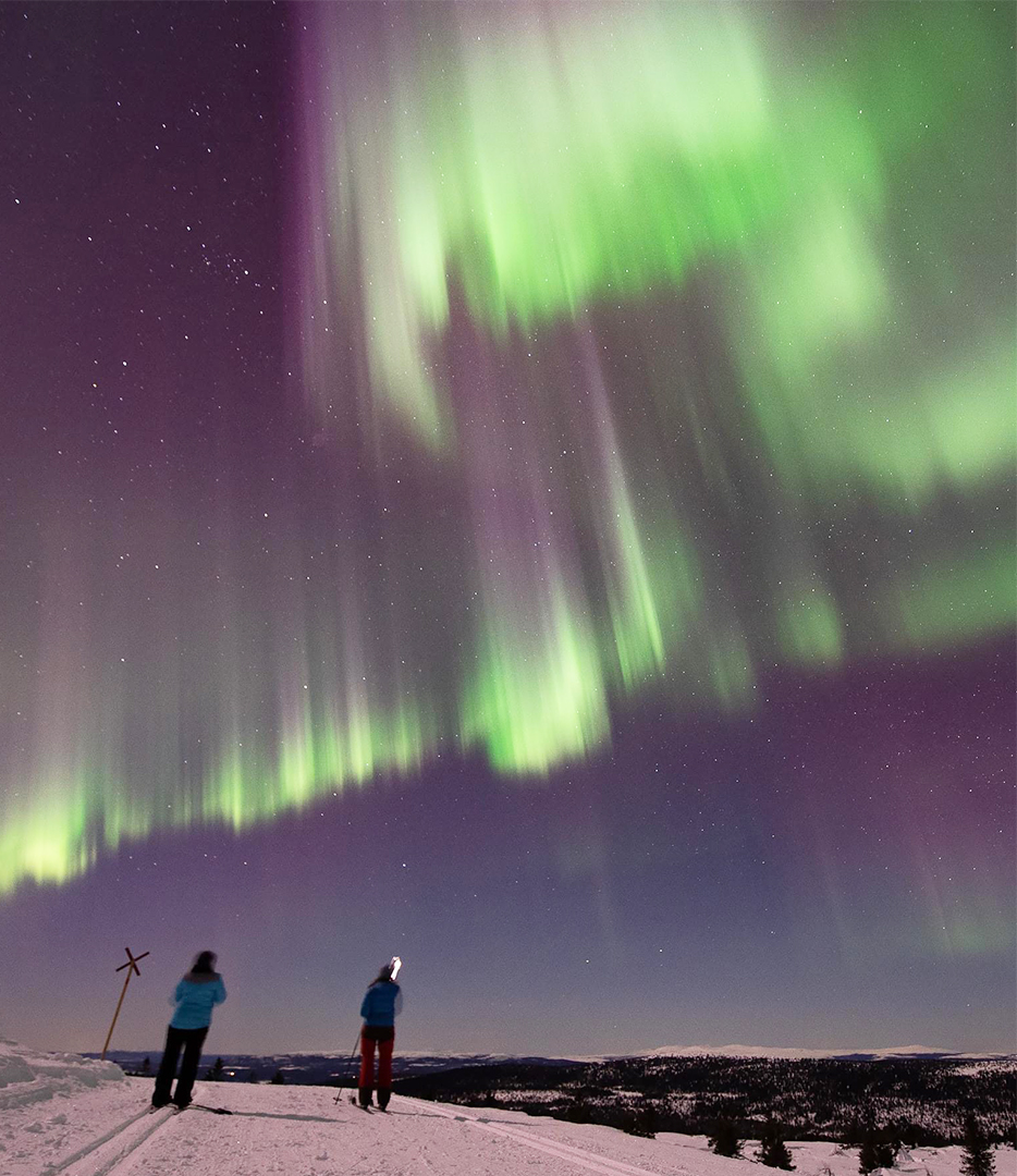 People watching vibrant green and purple Northern Lights in a snowy landscape under a starry night sky