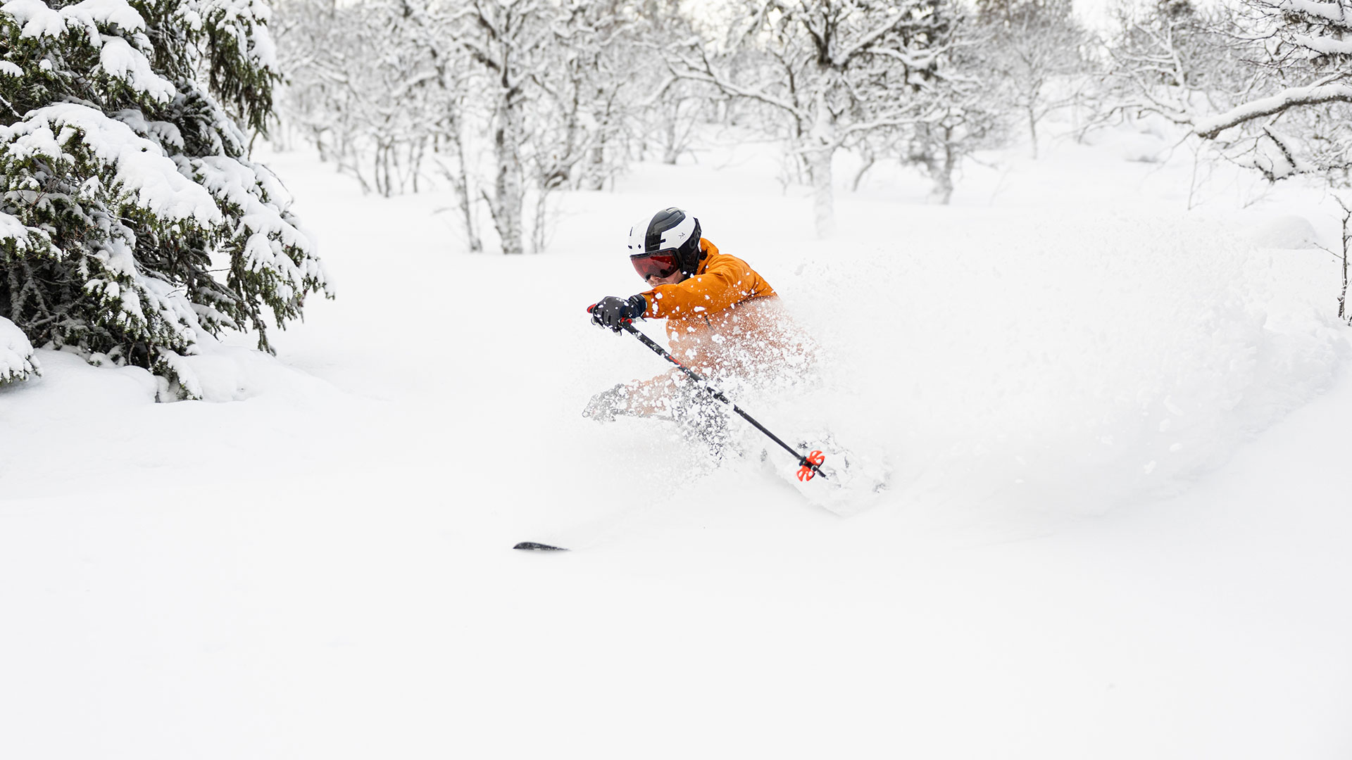 Person i orange jacka och hjälm åker skidor genom djup pudersnö i skogsmiljö