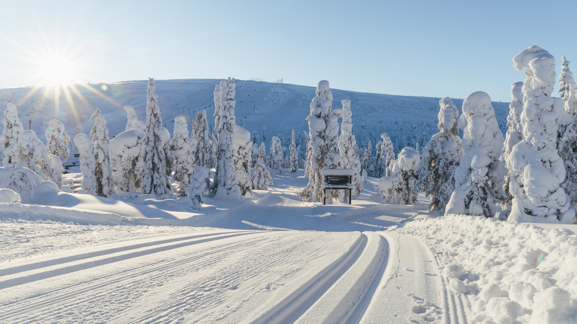 Snötäckt vinterlandskap med solbelyst skidspår och snötyngda träd i Lappland, Sverige