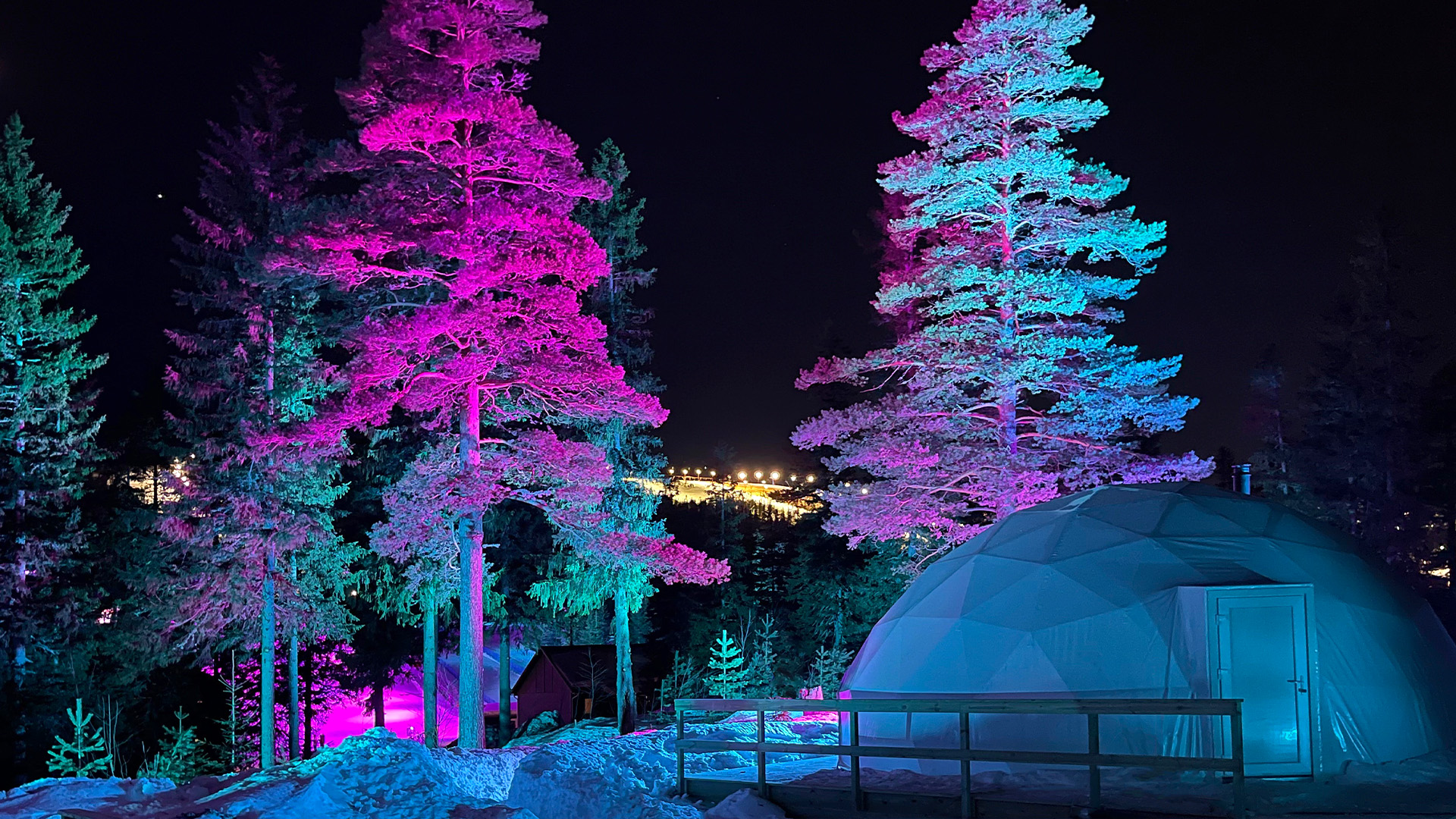 Kupolformad byggnad och upplysta träd i rosa och blått i snötäckt skogslandskap på natten