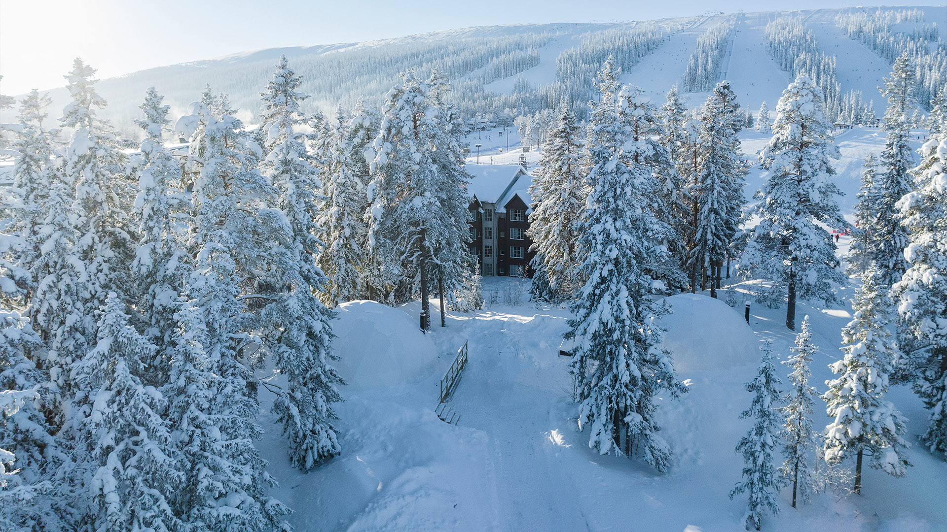Vinterlandskap i fjällen med snöklädda träd och ett hus i bakgrunden, solsken i himlen