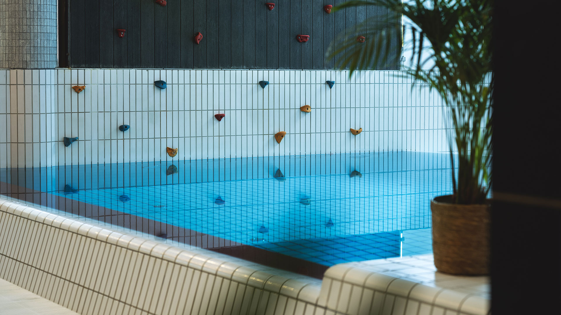 Inomhuspool med klättervägg och grön växt i kruka