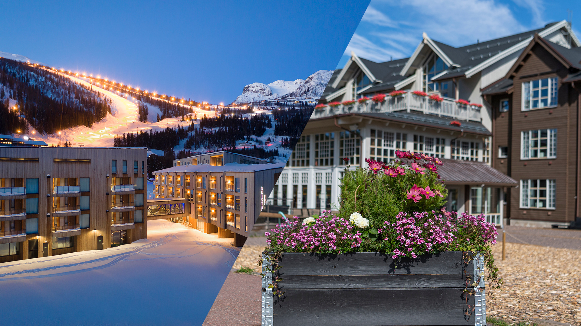 Ski resort in the mountains with lit slopes at night and hotel areas, as well as a country hotel with flowers in the foreground during the day, Åre, Sweden