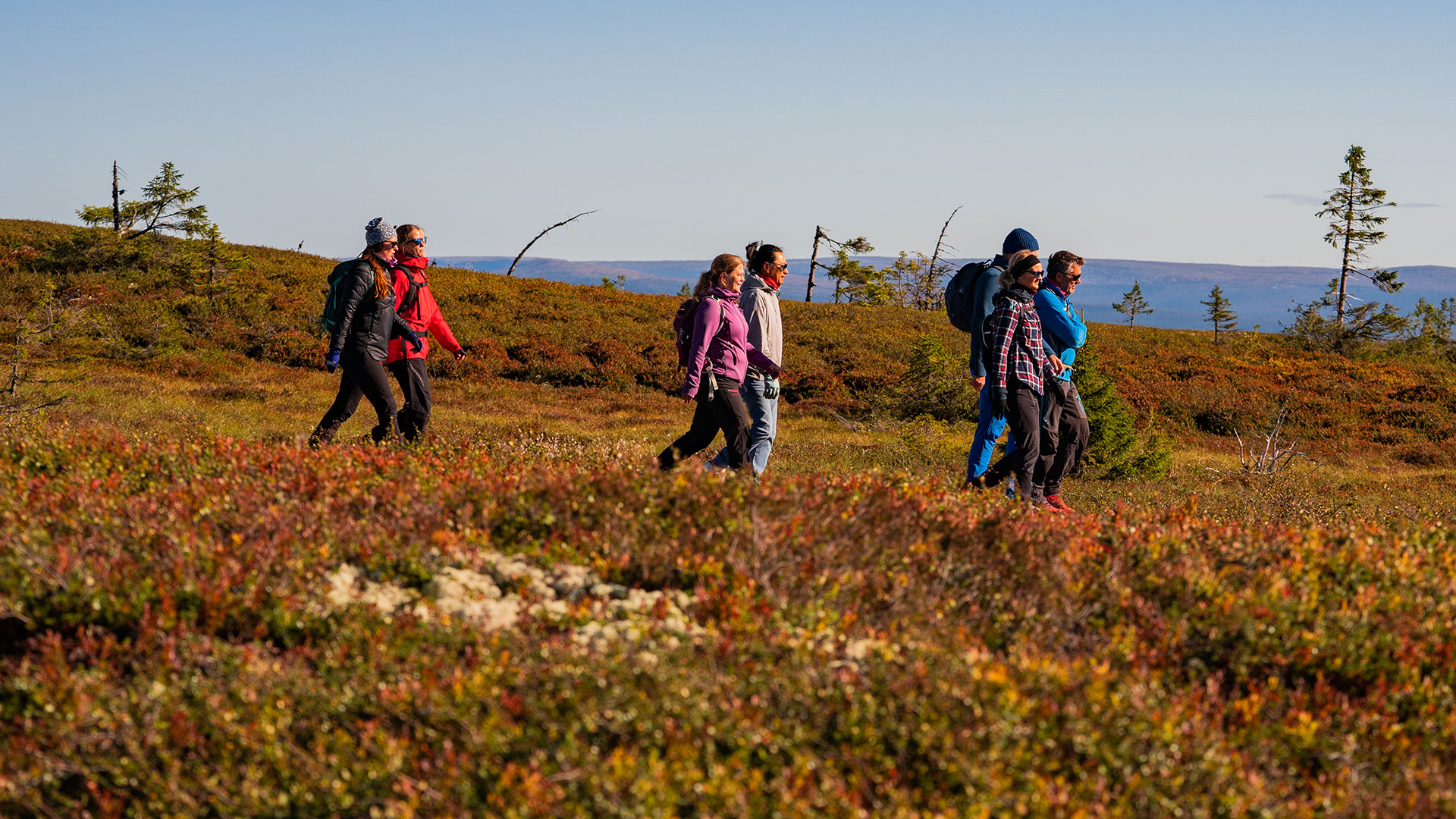 Vandrare i färgglada kläder går genom en höstig skogsmiljö med färggranna buskar och stigar under en klar himmel