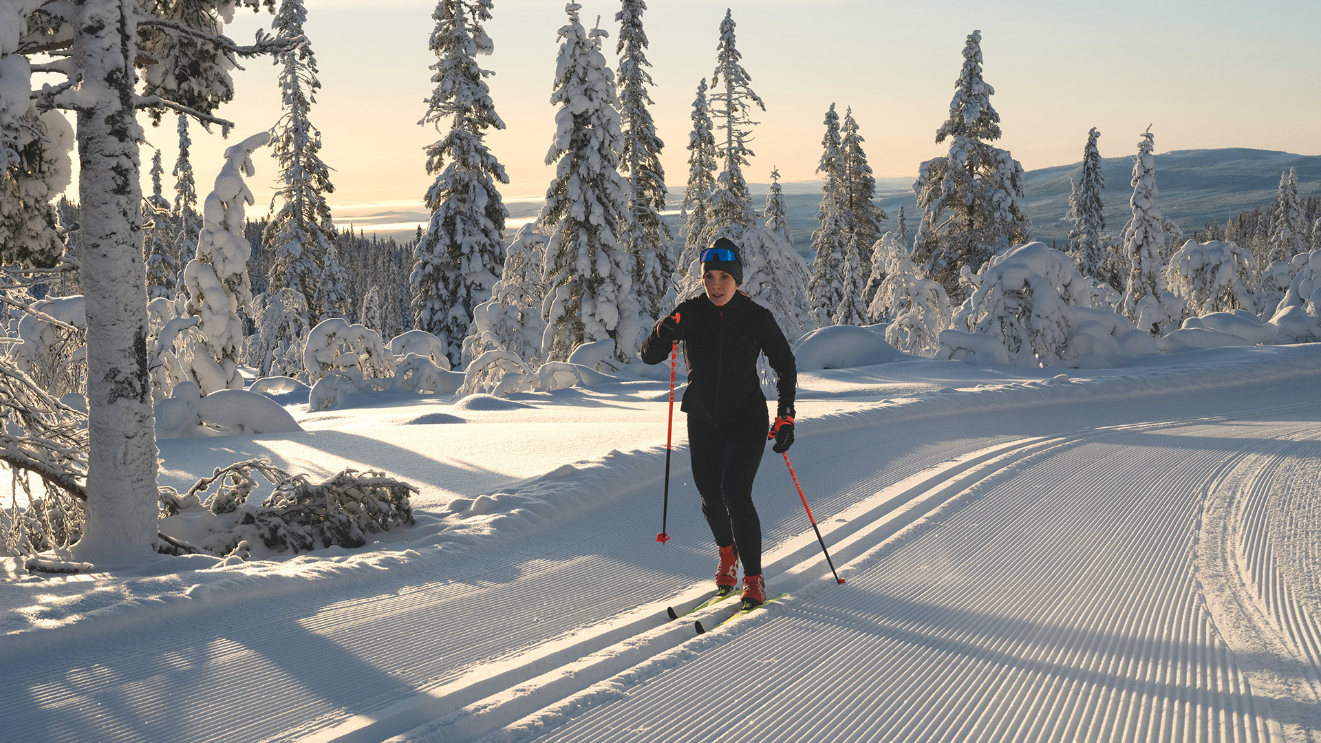 Person som åker längdskidor på ett snötäckt skogsspår i soligt vinterlandskap