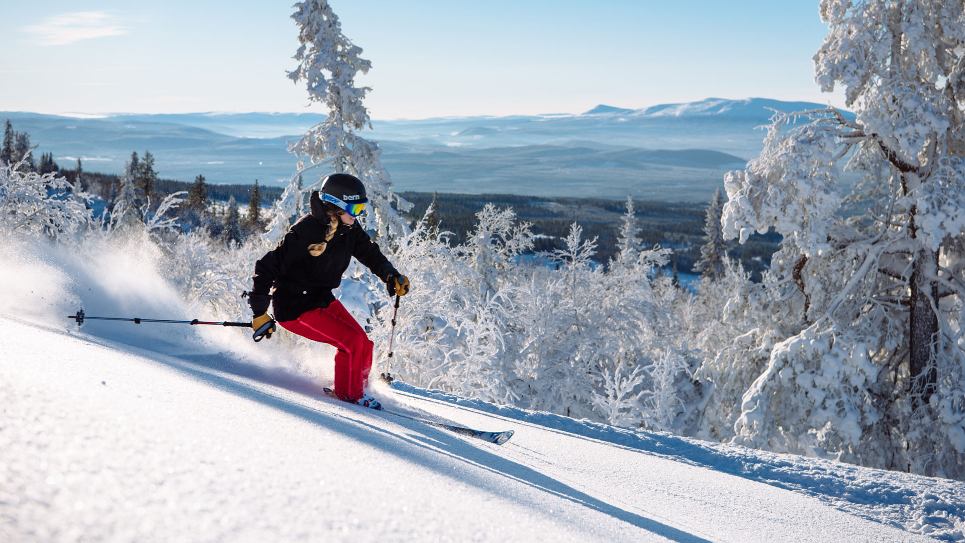A person is skiing down a snow-covered slope surrounded by frosty trees on a sunny day in the mountains
