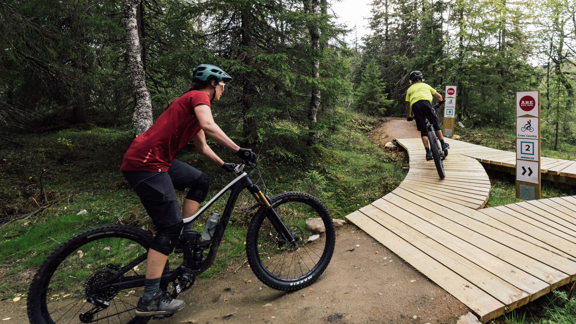 Cykelrytter på mountainbikerute i skovområde i Åre, Sverige