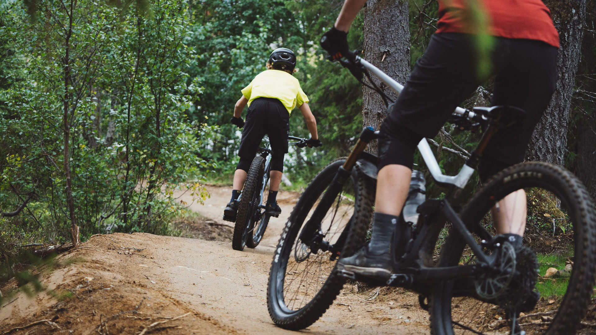 To personer cykler mountainbike på en skovsti, omgivet af frodige træer