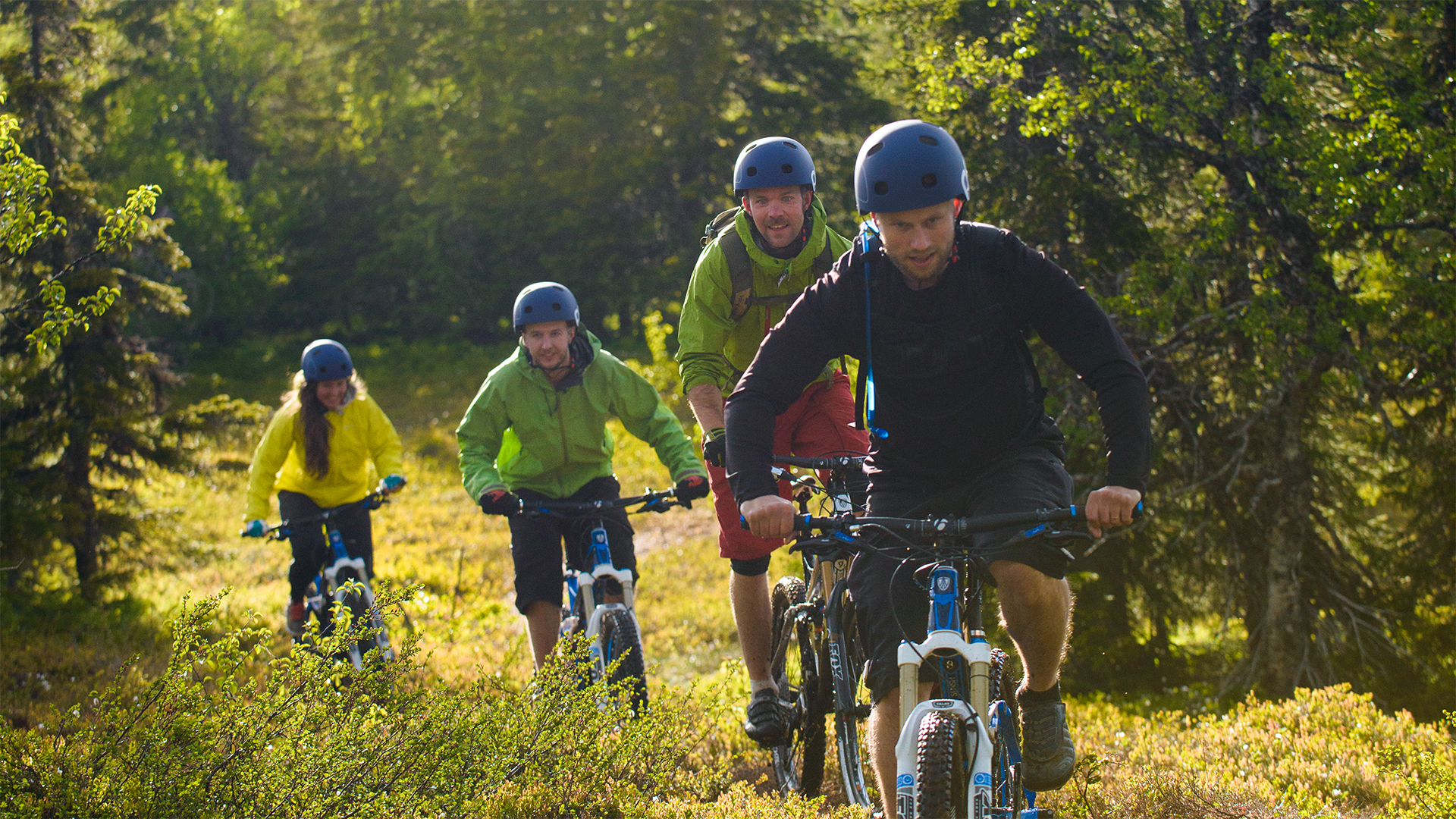 Fyra personer cyklar i skogen med hjälmar, bland gröna träd och soligt väder