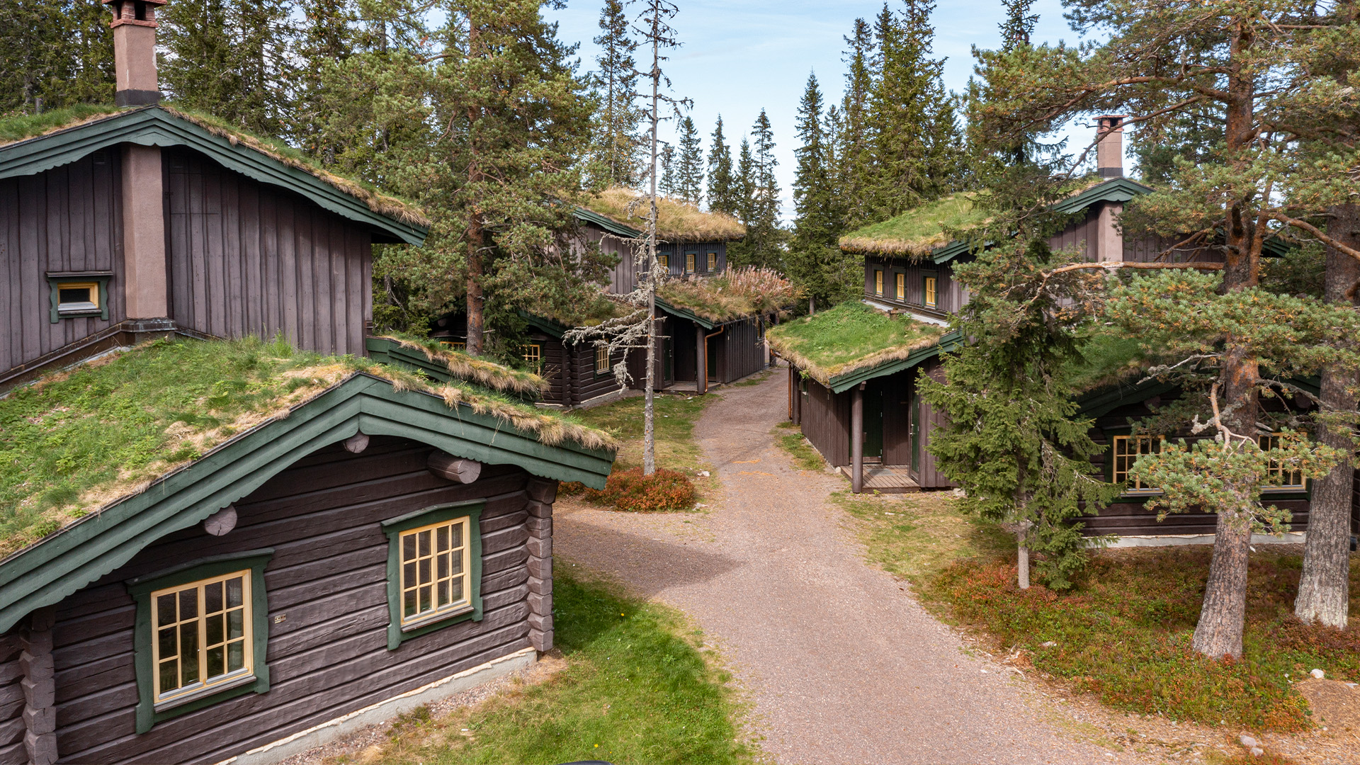 Traditionella timmerstugor med grästak omgivna av barrskog, typisk skandinavisk arkitektur i naturskön miljö