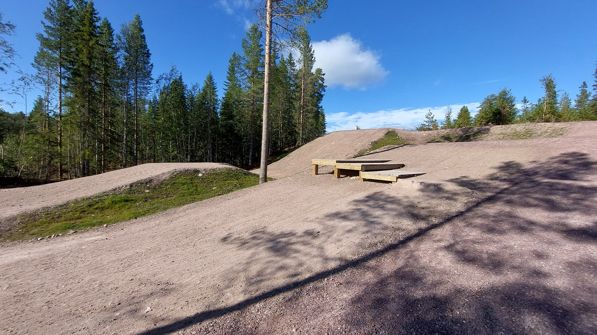 Cykelpark i skogsmiljö med dirt track och hoppramp under en klarblå himmel