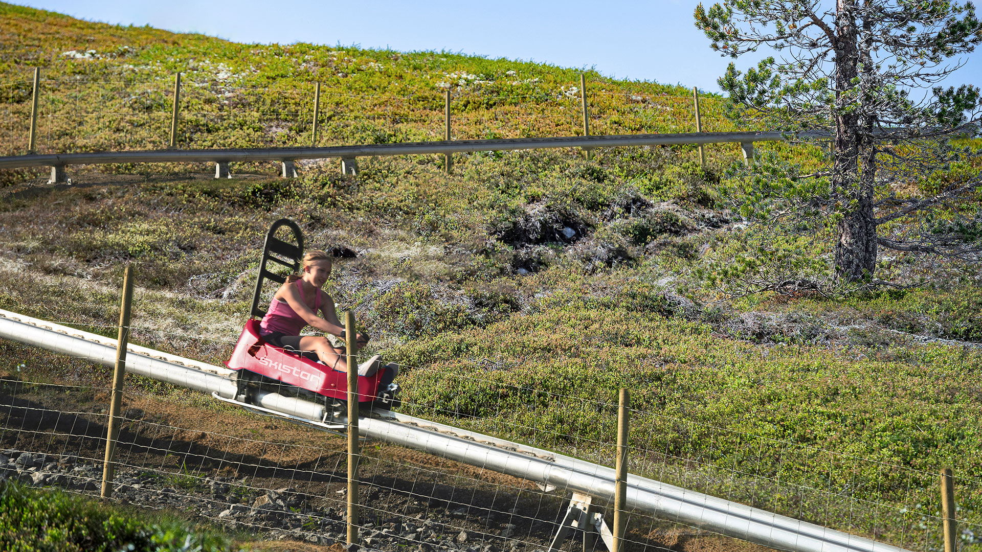 A person is riding a summer toboggan on a track on a lush hillside