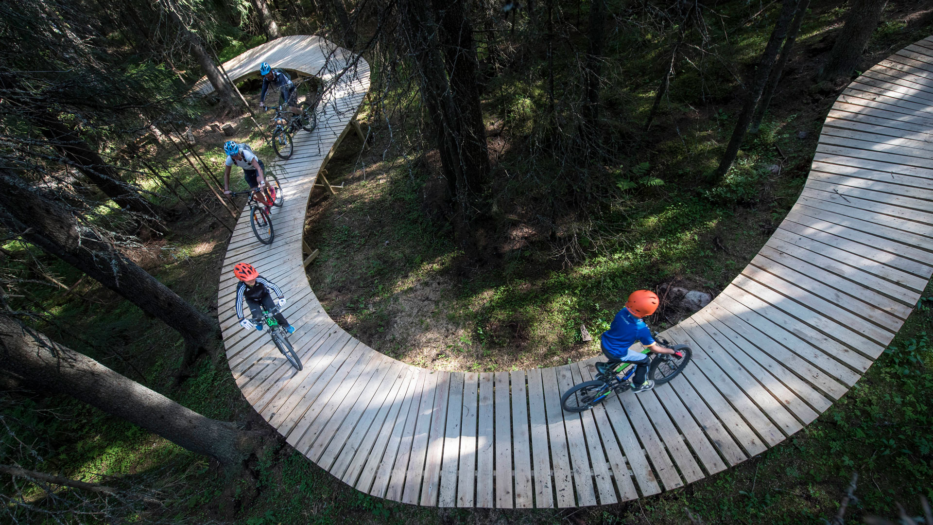 Barn cyklar på en slingrande träbro genom en skog