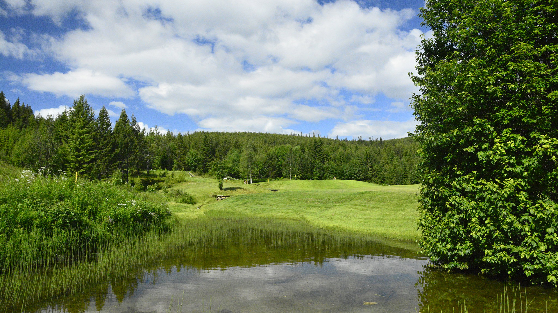 Landschaft mit Grün, Wald, Himmel und einem kleinen Teich unter bewölktem Himmel