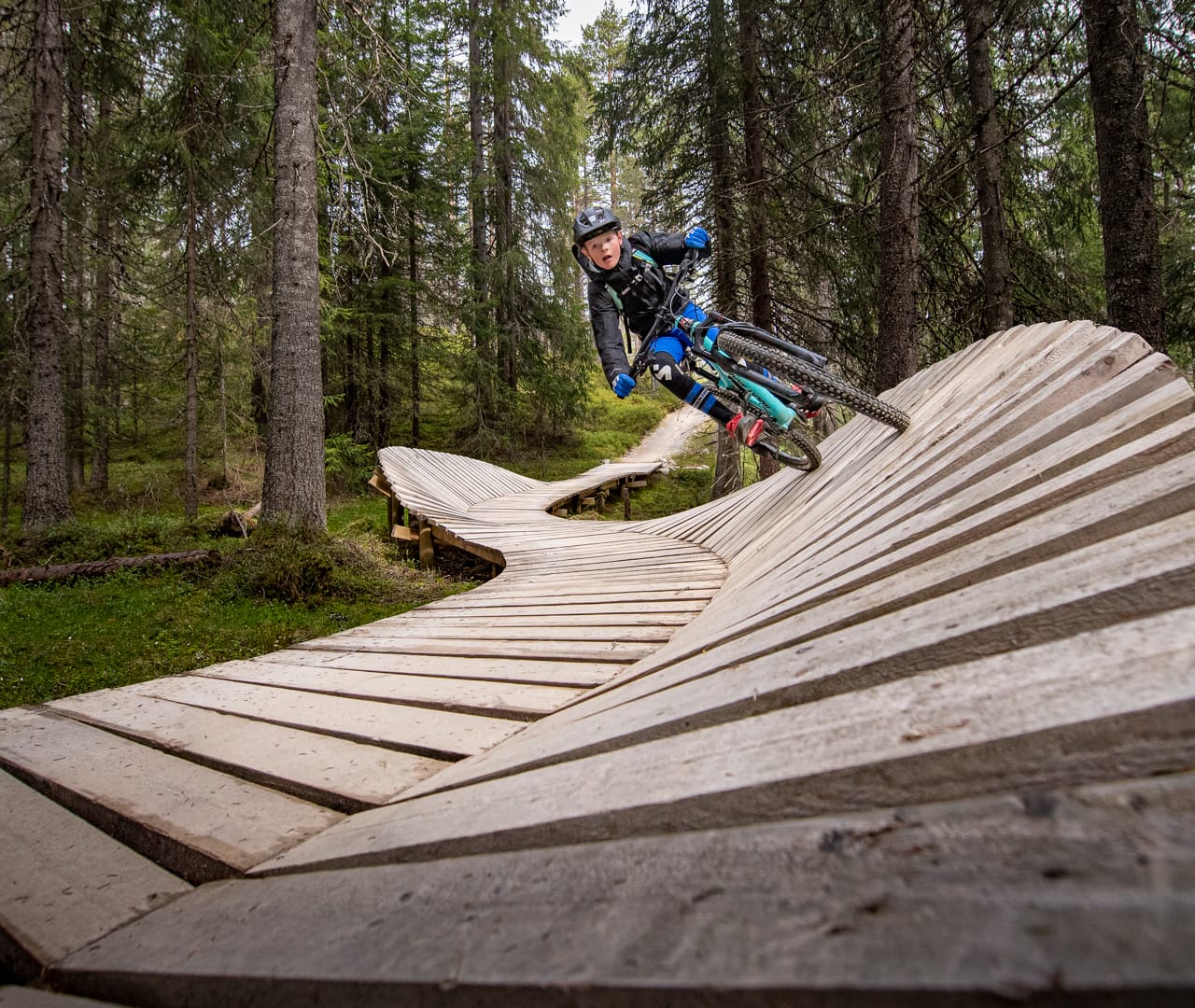Trysil Trail Park Stigcykling Och Flowleder I Trysil trysil-trail-park-stigcykling-och-flowleder-i-trysil