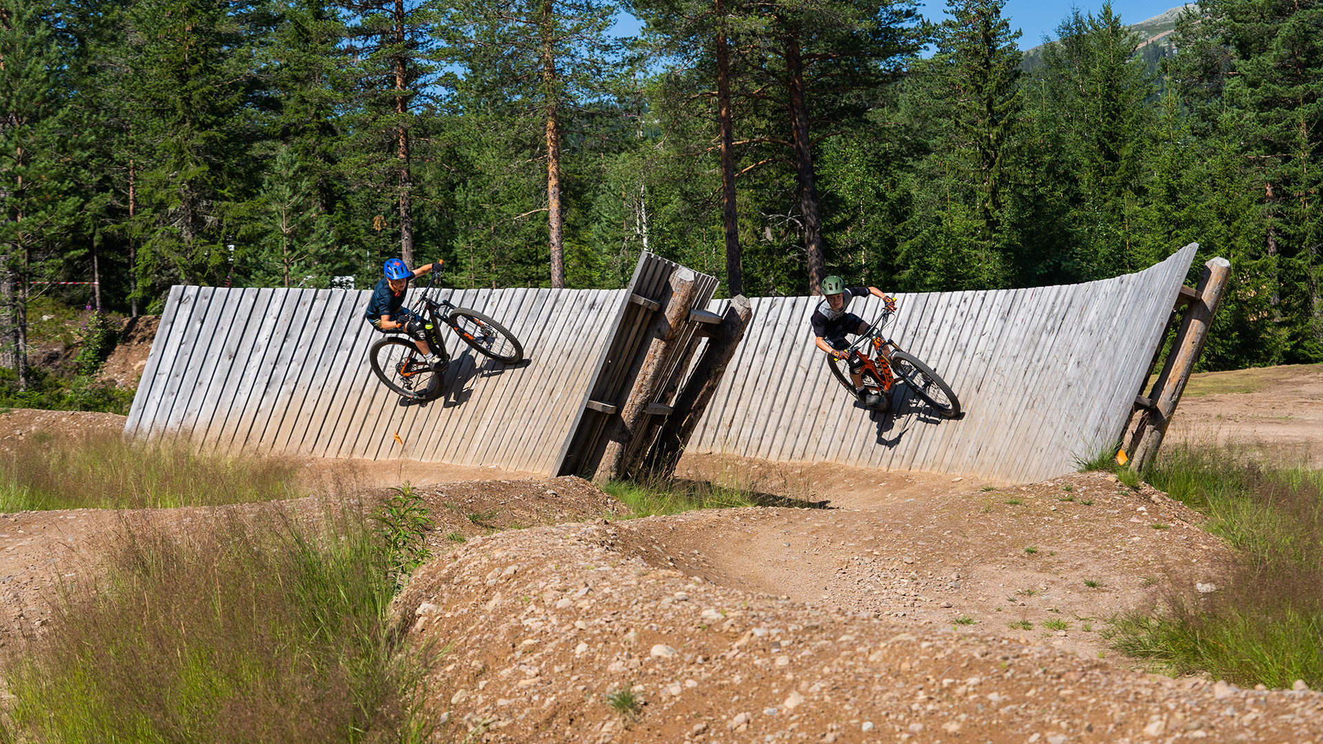 Två mountainbikecyklister kör på en lutande trävägg i en skog med gröna träd och klarblå himmel