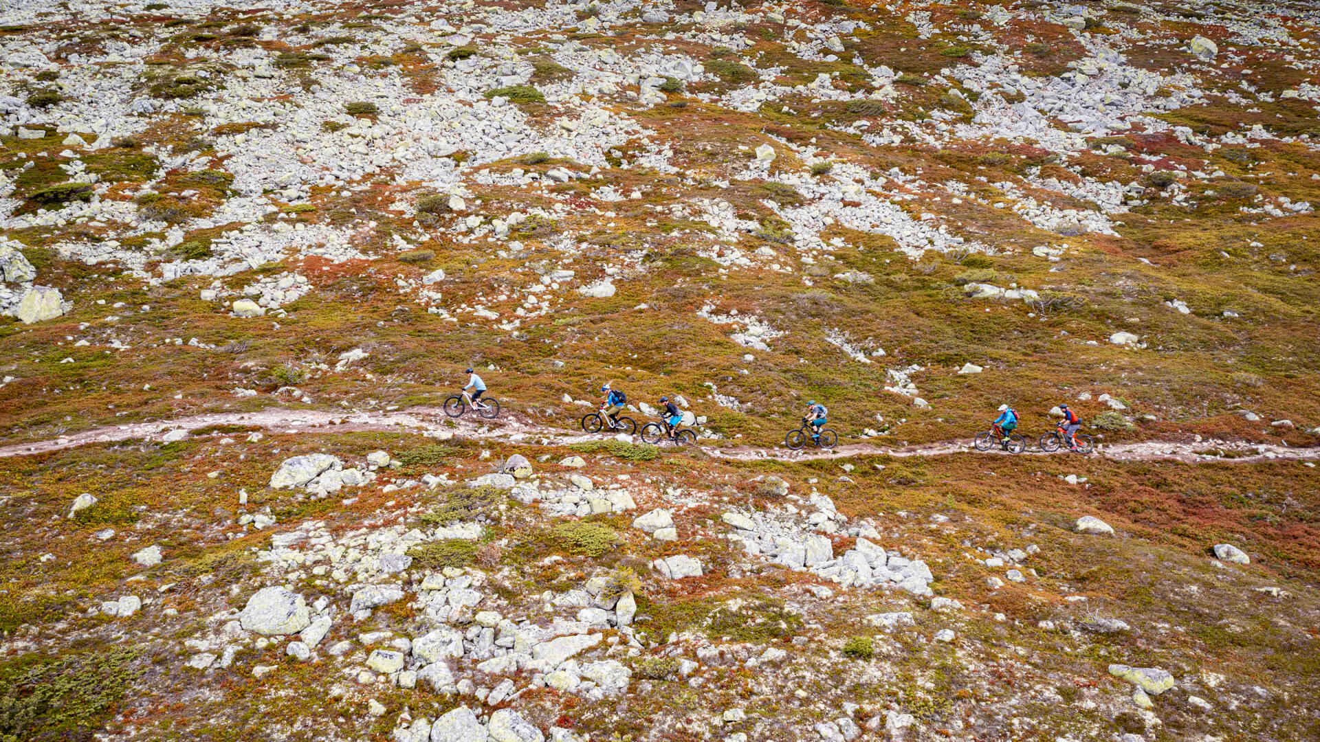En gruppe som sykler på en naturlig sykkelsti i fjellet