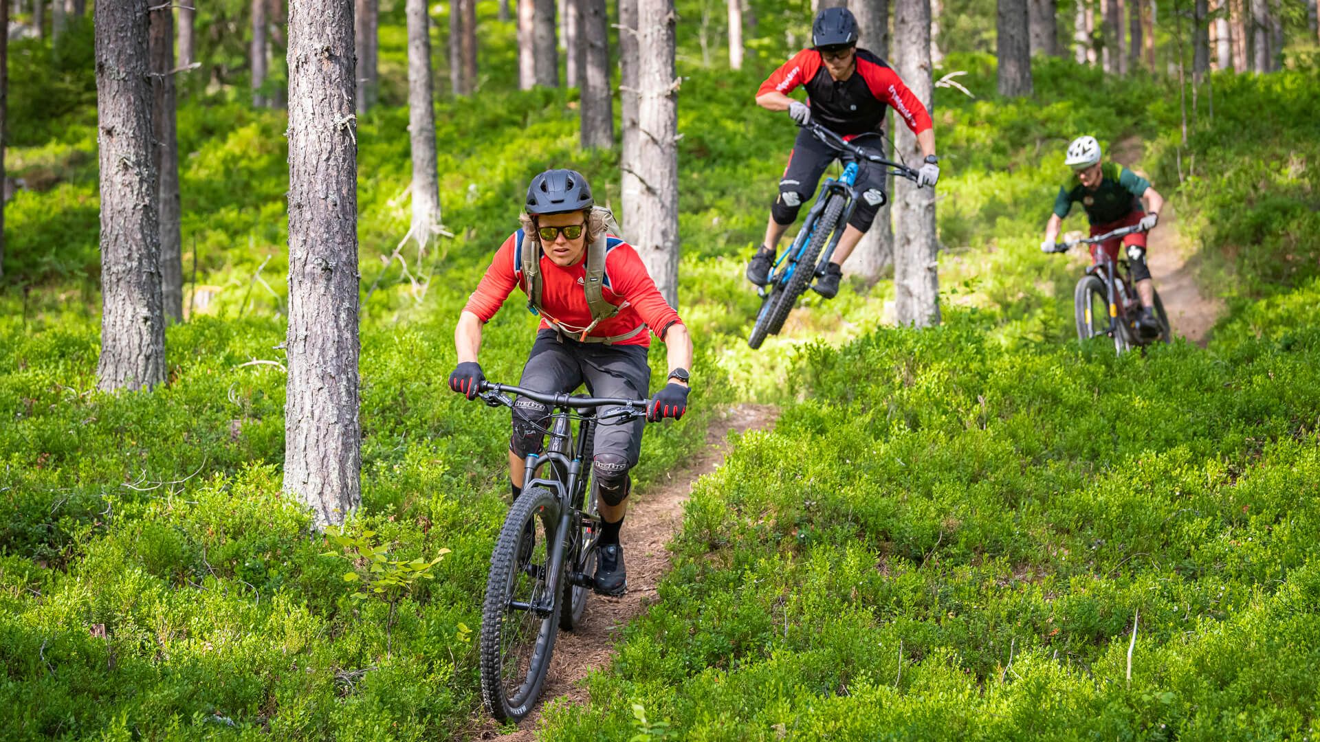 En gruppe som sykler gjennom skogen på en naturlig sykkelsti i Trysil