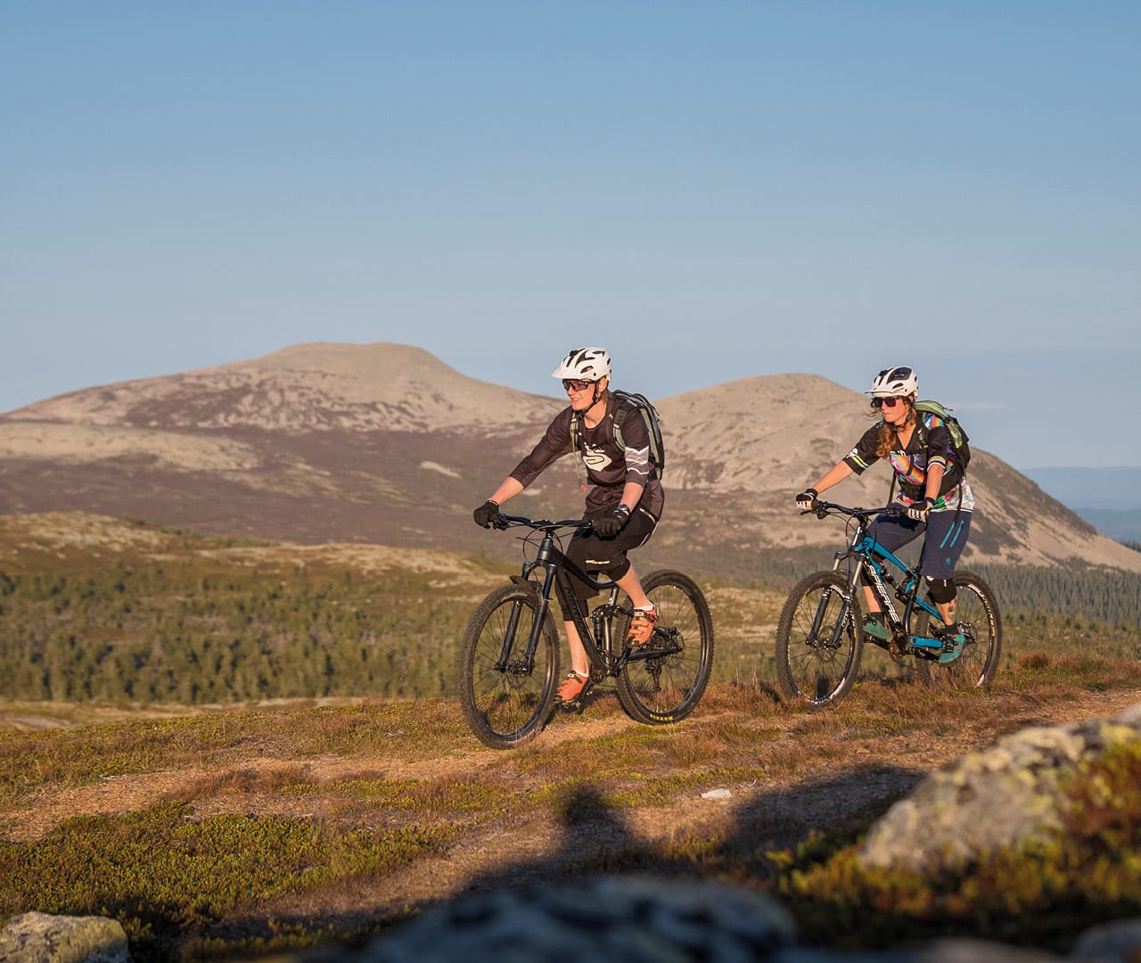 Cykla Fjellrunden i Trysil | Fageråsen Trail Park