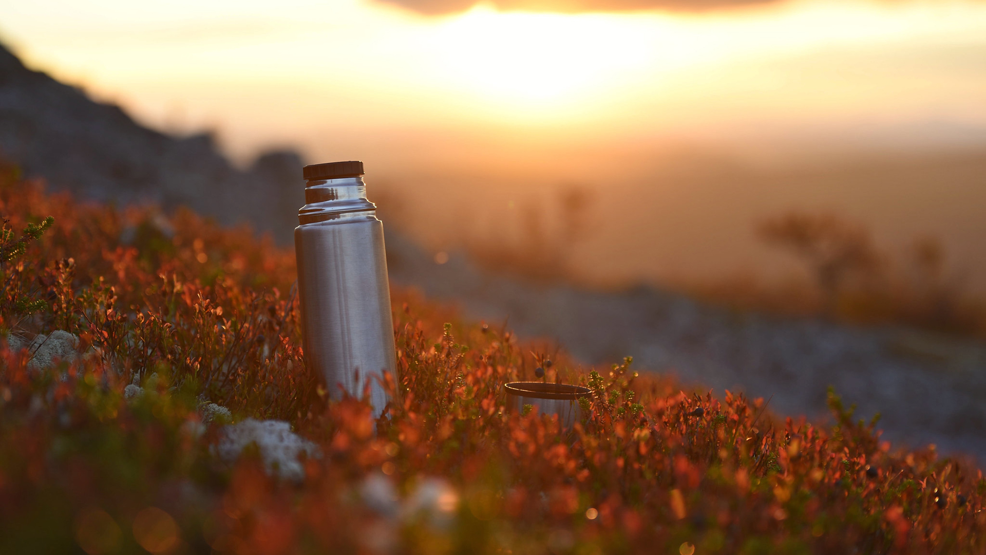 Thermosflasche im Sonnenaufgang auf einem Berg, umgeben von Vegetation