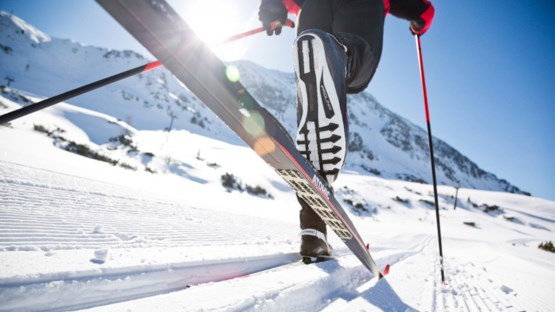 Kopguide Langdskidor